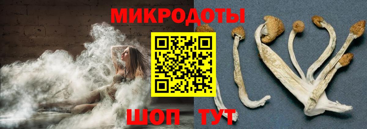Кимры  Галлюциногенные грибы прущие грибы  Вход с VPN  Псилоцибиновые грибы Psilocybe 